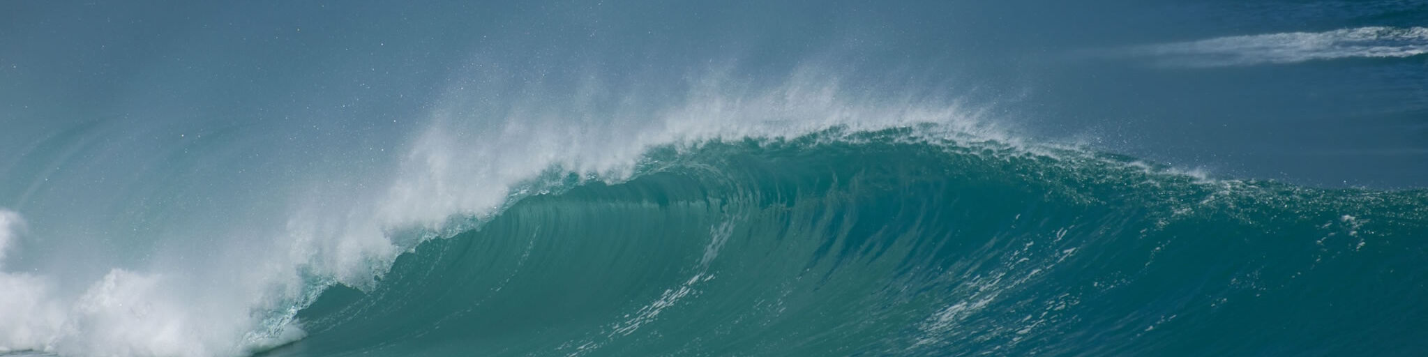 Surfside Services - Wave 3